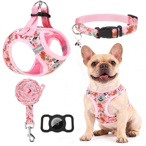 EXPAWLORER Christmas Puppy Harness - Dog Collar and Leash - Soft Mesh Padded Adjustable Step in Small Dog Vest Harness No Pull, Reflective Escape Proof for Outdoor Walking, Red M