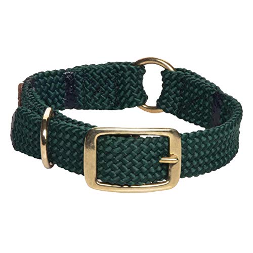 Mendota Pet Center Ring Dog Collar, Hunter Green, 1 x 18-Inch