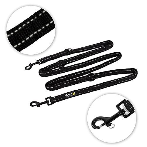 lionto Führleine 3-fach verstellbar für Hunde, reflektierende Hundeleine 200 cm, hochwertige Trainingsleine für sportliche Spaziergänge, strapazierfähiges Nylon & rostfreie Edelstahlkarabiner, schwarz