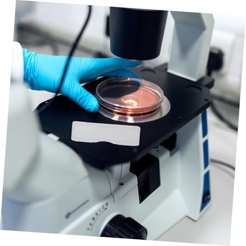 Clips de rangement pour lames de microscope pour l'analyse en pathologie