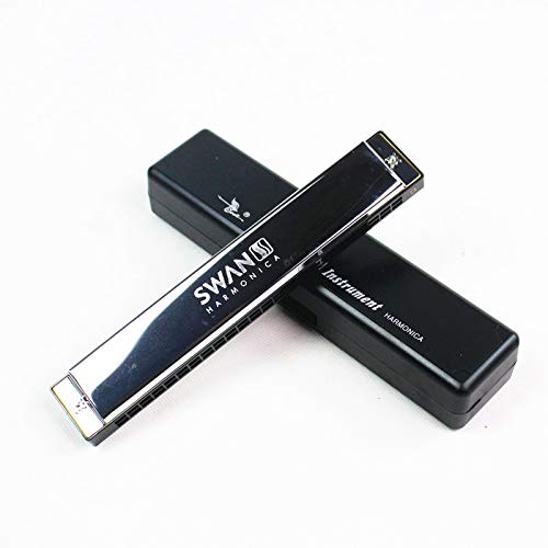 Harmonica Tremolo C clé 24 trous Tremolo Harmonica bouche orgue Instruments de musique à vent de haute qualité - Les Beatles, Paul McCartney, John Lennon, RIngo Starr, George Harrison Harmonica Tremolo C clé 24 trous Tremolo Harmonica bouche orgue Instruments de musique à vent de haute qualité – Image 5