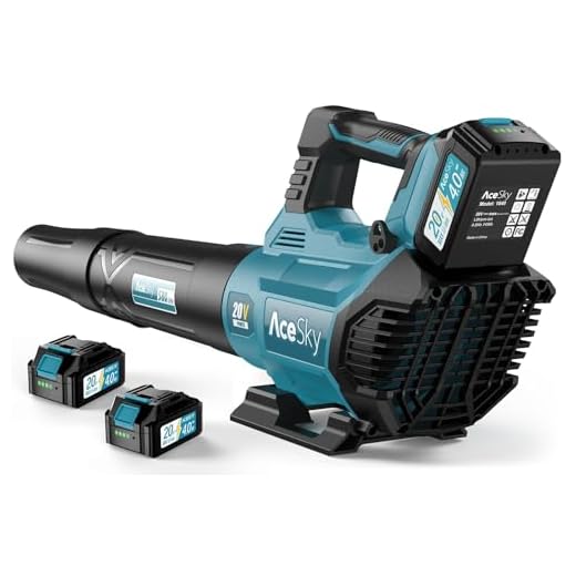 Powerful Cordless Leaf Blower