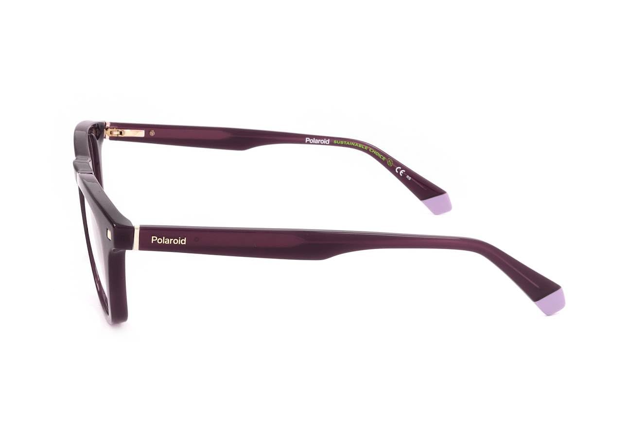 Polaroid Eyeglasses Sunglasses Donna