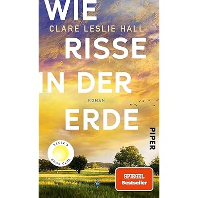 Wie Risse in der Erde