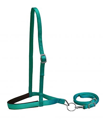 Showman TEAL Premium Nylon Padded Noseband And Tie Down