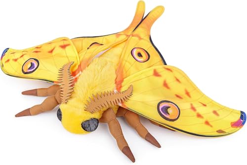 ZHONGXIN MADE RbgX i ʂ A26C` iX ʂ  \tg j[Nȃv[g RNV qǂ l CeA fR[V Mtg