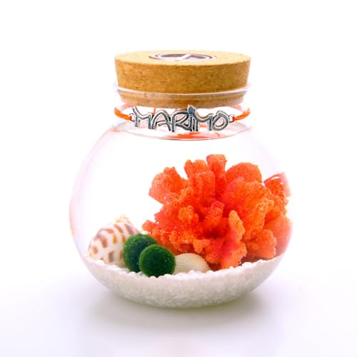 tycyymy } KXr ۃeE Lbg yLEDtz ANAE i ItBX/rO/Qp h[{g y~j㐅Zbgz o[`ANAE {gANAE   zoIR-