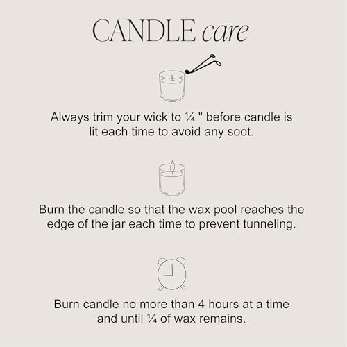 El Eastlane HAHA-001 Orange & Vanilla Odor Eliminating Candles thumb #5