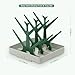 haakaa Baby Bottle Drying Rack, Space Saving Bottle Drying Tree for Bottles/Pump Parts/Pacifiers and Other Baby Essentials, Easy-Store Dryer Rack Great for Home & Travel, BPA Free (Forest Green)