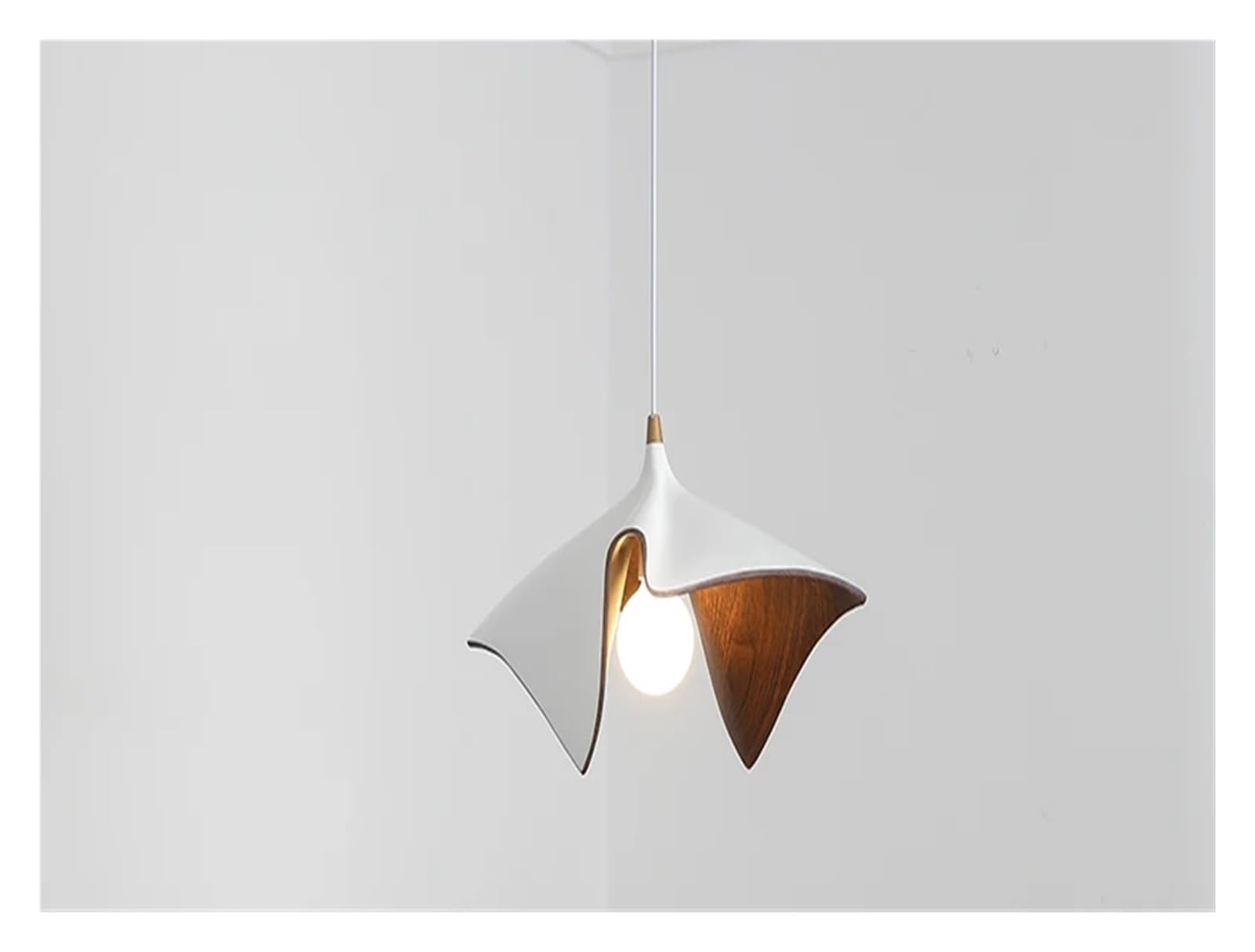 Suspension LED en résine pour remplacer un lustre de salon sombre et démodé