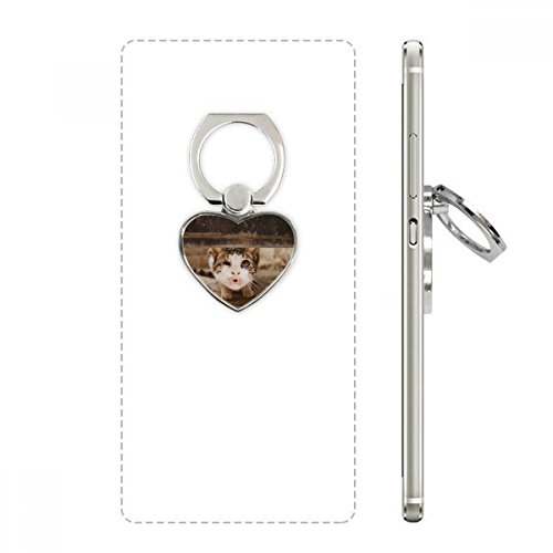 Cadeau téléphone portable original avec cet anneau support chat amusant