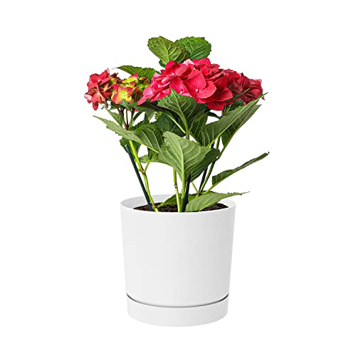 Doniczka Planter - 17,5 x Ø 18 cm - doniczka ze spodkiem Round Tubo P 3,2l, biała, DPOP180