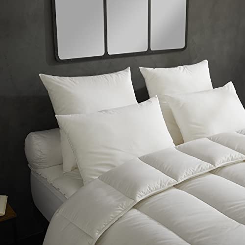 DODO - Lot de 2 Oreillers Micro Douceur Moelleux 60x60 cm - Enveloppe 100% Coton - Garnissage Synthétique en Polyester Fibre Creuse Siliconée - Lavable en...