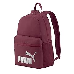 Burgundy Silver Logo