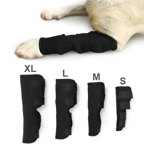 Image of iHOO 1 Pair Dog Front Leg Brace, Prevents Injuries and Sprains,Knee Support for Dogs with 2 Bandages L