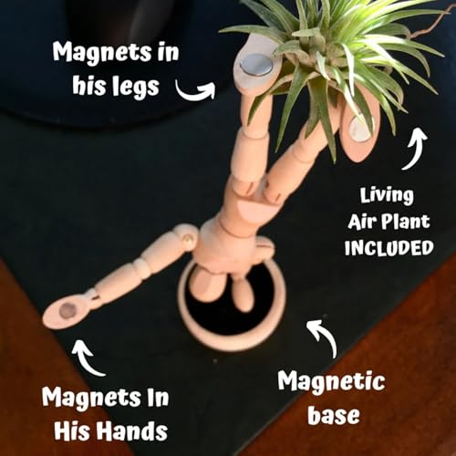Support de plante aérienne statue articulée magnétique en bois modulable - 7