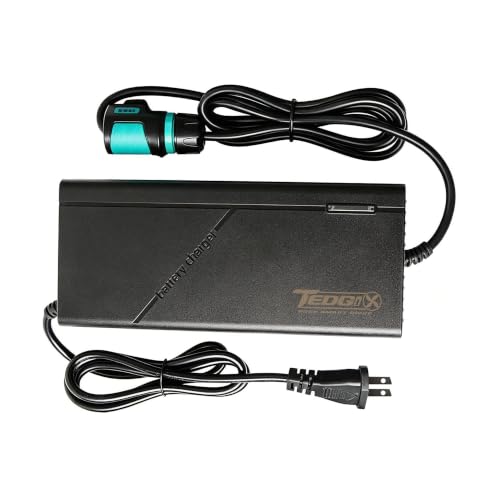 Cargador 24V 10A OMPHOBBY de 252W Compatible con Batería Directa B2 B4 B8 4