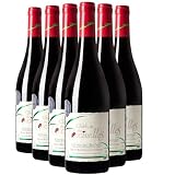 Côtes du Rhône rosso 2023 - Organico - Château des Coccinelles - DOP - Valle del Rodano - Francia - Vitigni Grenache,Syrah,Mourvèdre - 6x75cl