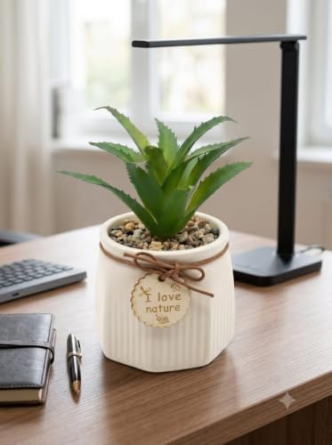 Image of Artificial Aloe Vera Plant with Ceramic Pot | Fake Succulent with Decorative Pebbles & Wooden Tag | Indoor Table Decor | Home Office Desk Plant | 16 cm