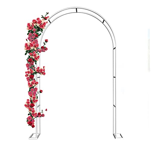 X`[t[ K[fA[` }`bN fR [YA[` 뉀 ze eX oRA OK[{ : 40cm (zCg 300x220cm(118x87C`)