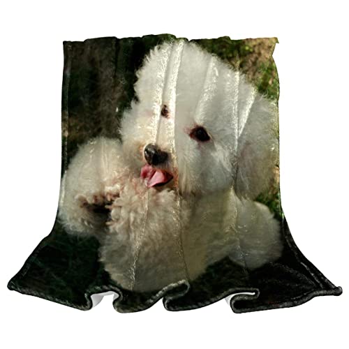Couvertures chaudes et douces en microfibre plaid chien - 2