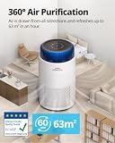 COWAY Purificatore d'Aria Camera da Letto Casa, HEPA, Notte, AIRMEGA 100 - 4