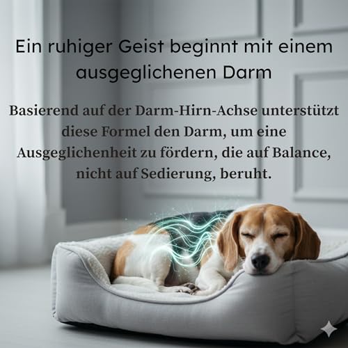 PetCultures Beruhigung für Hunde – L-Tryptophan, L-Theanin, Probiotika für Hunde, Präbiotika, Postbiotika, 2 Milliarden CFU
