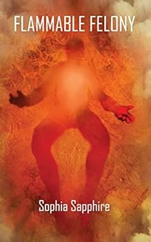 Paperback Flammable Felony Book