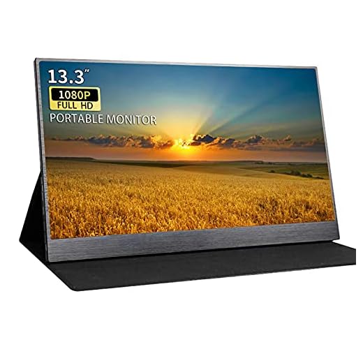 Moniteur Externe Portable de Type C de 13,3 Pouces 1920x1080 Écran d'ordinateur d'affichage IPS avec Interface HDMI USB-C pour Ordinateur Portable PS3 PS4 Mac Raspberry Pi, moniteurs Kenowa