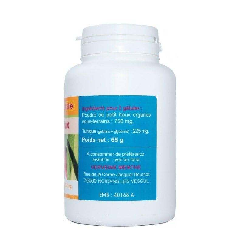 GELEGENHEITEN DRAGON (Kleine Stechpalme) 200 Kapseln mit einer Dosierung  von 250 mg. : Amazon.de: Drogerie & Krperpflege