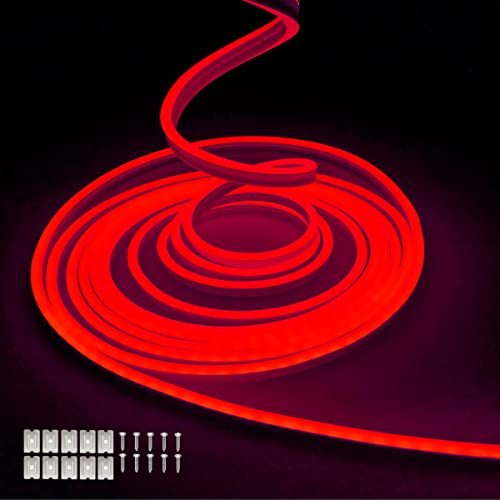Balabaxer Striscia luminosa rosso al neon, 16.4ft/5m 12V DC 600 SMD2835 LED impermeabile, per la decorazione interna ed esterna (senza azionamento)