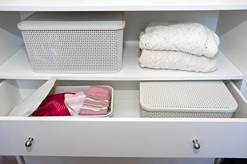 BranQ - Home essential Deckel Korb in Rattan Design 2er Set Grösse M 10l, Kunststoff PP, Anthrazit, 10 l