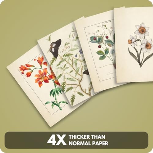 Image of Vintage Botanical Art Prints - Set of 40 Mini Posters (15x10 cm Each) | Floral Wall Art Kit | Aesthetic Botanical Prints for Gallery Wall, Bedroom, Study, Living Room | Unframed Nature-Themed Decor (A 007)