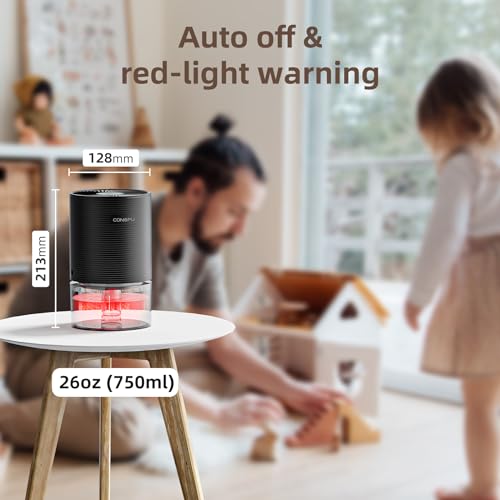 CONOPU Deumidificatore Casa Portatile Muffa