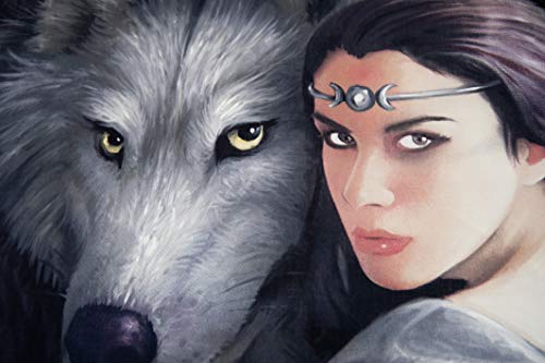 Herding ANNE STOKES Bettwäsche-Set, Wendemotiv, Bettbezug 135 x 200 cm, Kopfkissenbezug 80 x 80 cm, Baumwolle/Renforcé