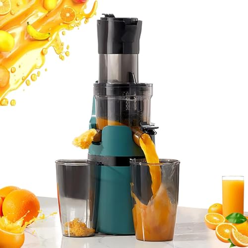 WJWWO Spremiagrumi centrifugo Portatile per la casa, spremiagrumi Professionale per Frutta e Verdura Intera, Scivolo per mangime da 90 mm/3,5 Pollici, Adatto per Mele, Arance, pere, frappè,B