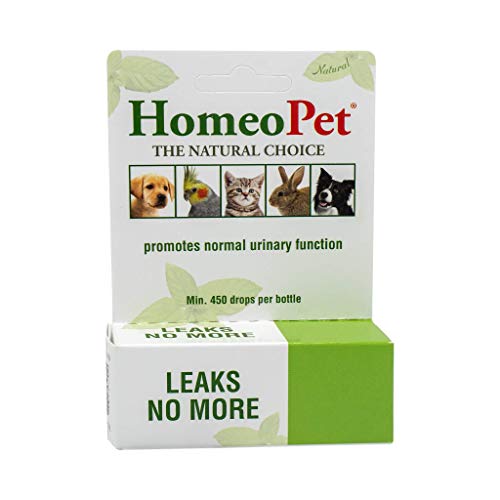 best nontraditional pet products