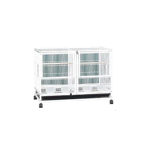 fancyflyPCW傫ȋIIJCCRIEPCWؒ|₷@\dؑԌQp (B)