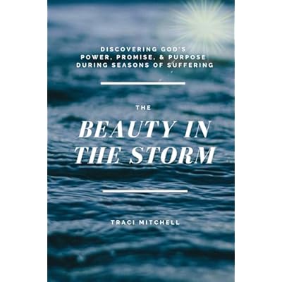 The Beauty in the Storm