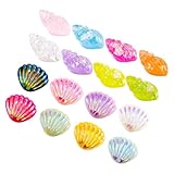 miniature shell furniture Coquille miniature en vrac : les coquillages réalistes créent superbe effet de scène de plage qui vous transportera l'océan.