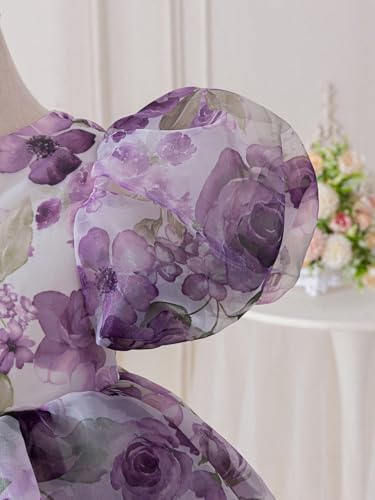 Image of TAGAS Girls' Princess Dress | Girl Floral Print Dress |Dresses birthdaydress for Babygirls |