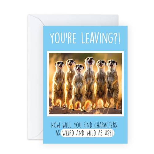 CENTRAL 23 ʔސEJ[h - You're Leaving Meerkats - AAiA搶AFBAւ̕ʂ̂悤ȂJ[h - ]EސEɍK^ - XebJ[t