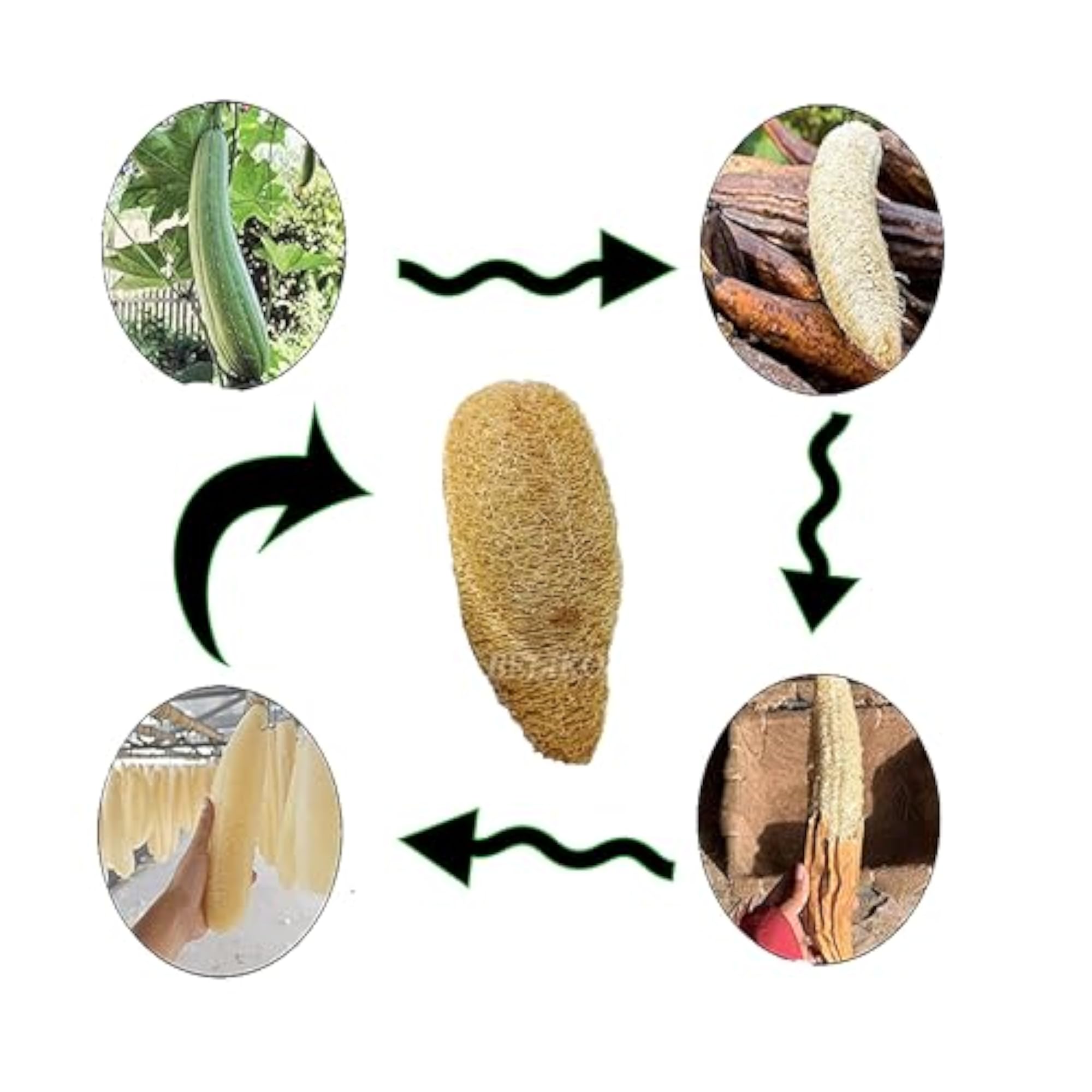 Organic Luffa Sponge Body Scrubber, 4 Piece Set