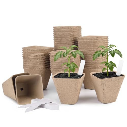ARGCONNER 3.15 Inch Peat Pots, Plant Starting Pots for Seedlings, Square Garden Germination Nursery Pot with Drainage Holes for Herbs, Vegetables, Flowers & Garden Plants (60)
