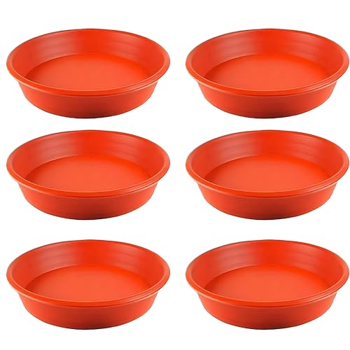 Image of SIGNY Round Bottom Tray (Plate /Saucer) Suitable for 16 Inch Round Plastic Pot - Brown - Set of 6 | Heavy Duty Highly Durable Plant Saucer for Indoor Home Decor & Outdoor Balcony Garden