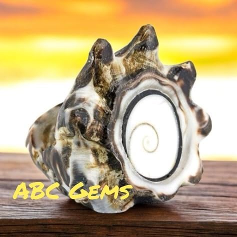 Miniatura 8 de ABCGEMS - Cuentas de concha de ojo de Shiva de color blanco perlado del océano Pacífico (solo se puede tallar una cuenta de la espiral central de