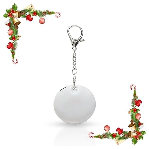 41b9EtbCq0L._SS520_ Best purse light led