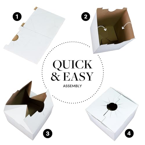 Image of Holiday Designs - Quick Fold Florist Delivery Box, Cardboard Vase Boxes for Secure Floral Arrangements During Transport, 6 inch x 6 inch x 4 inch (Medium - Bulk Case of 100)