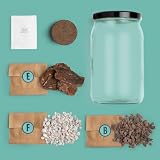 Kit terrarium Resetea coleus, pot en verre de 21,5 cm photo 2