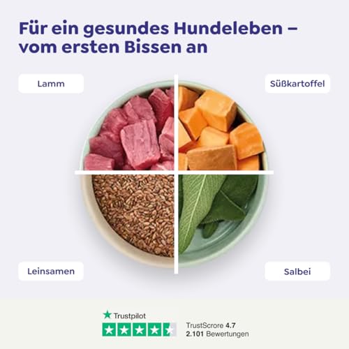 WOW Dog Hunde Trockenfutter Minis mit Lamm | für ausgewachsene Hunde, 32% Fleischanteil, getreidefrei | 1 kg / 3er Pack